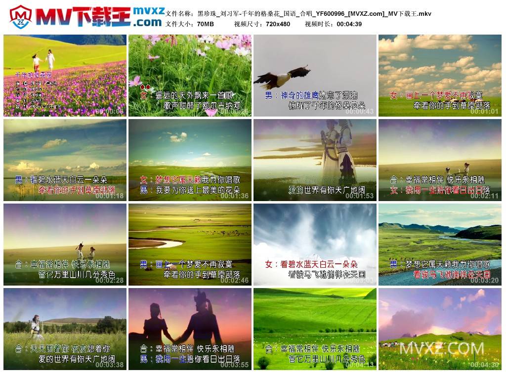 黑珍珠_刘习军-千年的格桑花_国语_合唱_YF600996